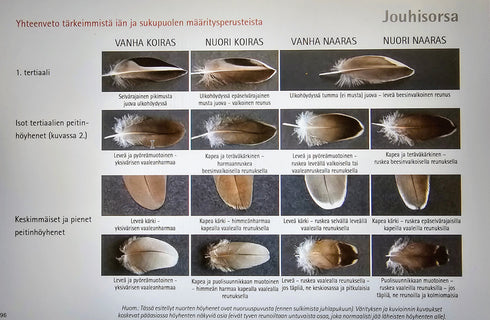 Vesilintujen iän ja sukupuolen määritysopas